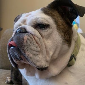 Meet your Posher, Steven